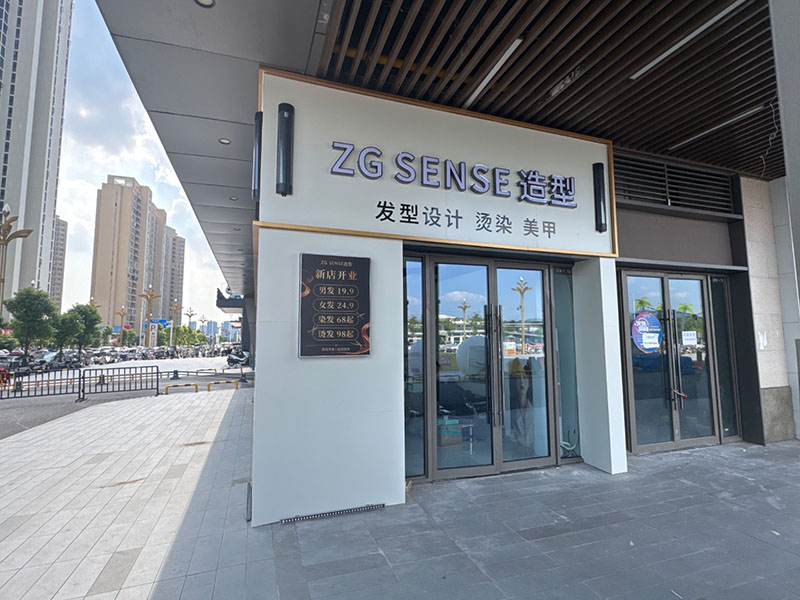 ZG  SENSE造型
